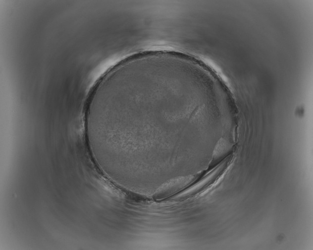 X0000091361167200708171518