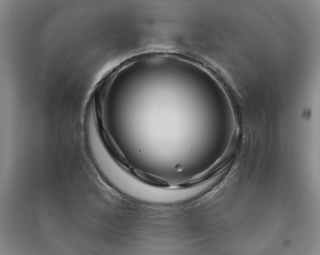 X0000091361168200708171518
