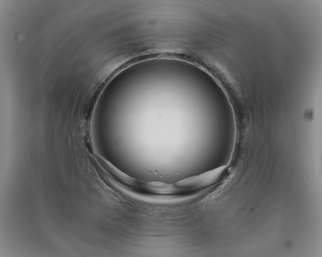 X0000091361169200708171518