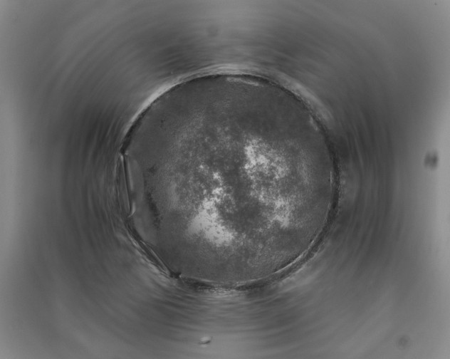 X0000091361170200708171517