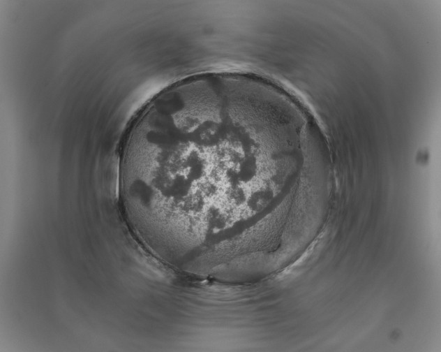 X0000091361171200708171517