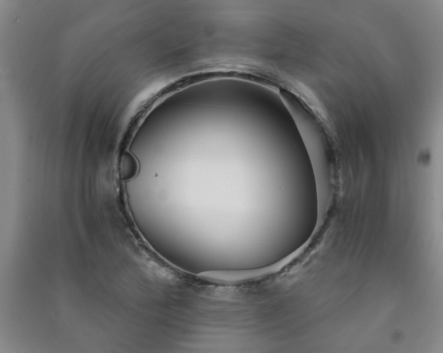 X0000091361172200708171517