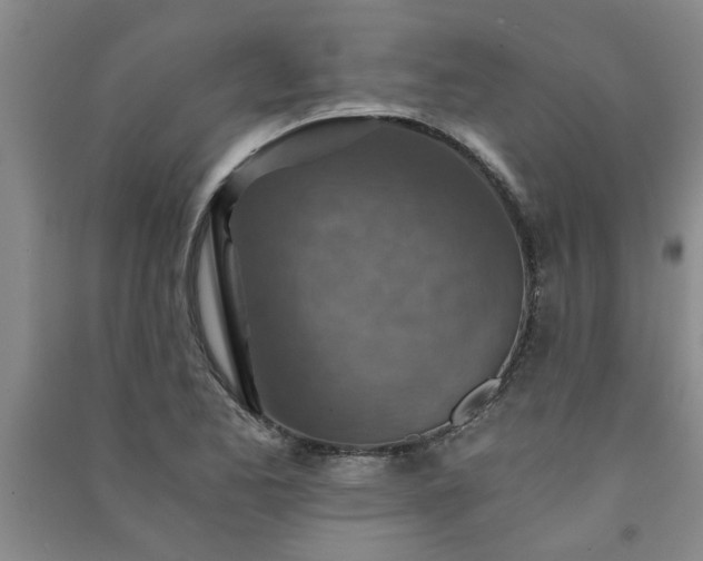 X0000091361173200708171517