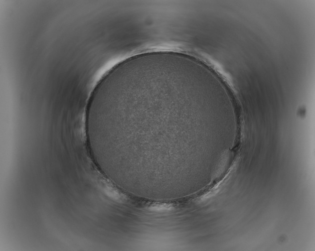 X0000091361174200708171517
