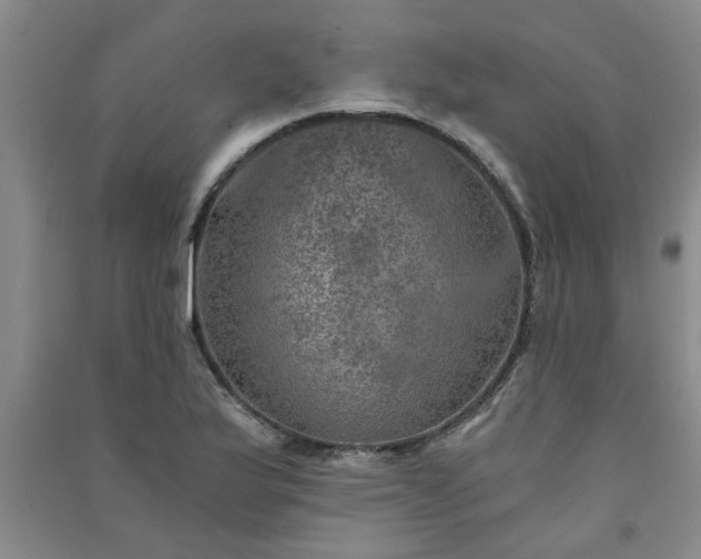 X0000091361175200708171517