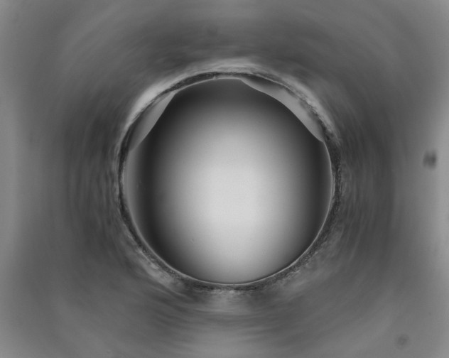X0000091361176200708171517