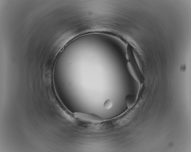 X0000091361177200708171517