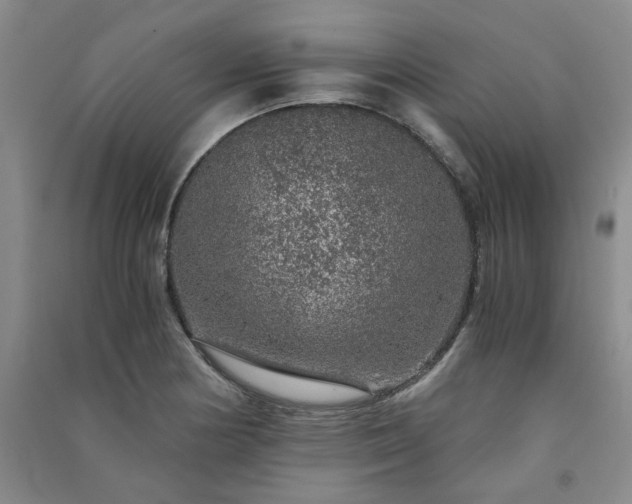 X0000091361178200708171517