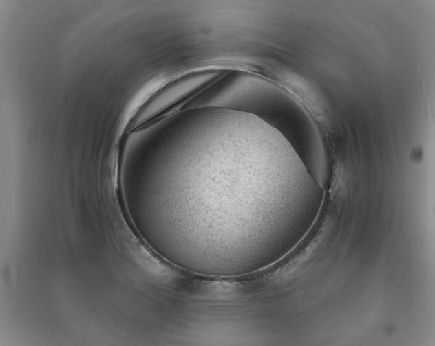 X0000091361180200708171517
