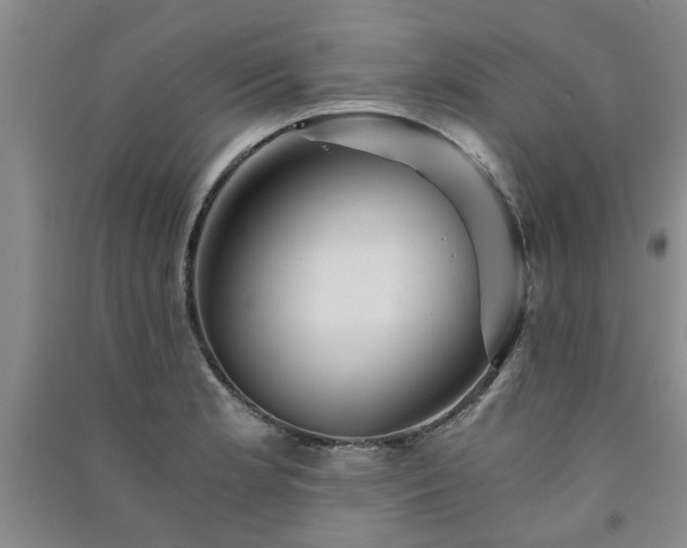 X0000091361181200708171517
