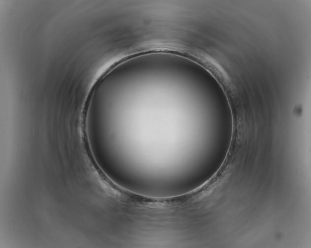 X0000091361182200708171517