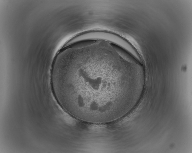 X0000091361183200708171517