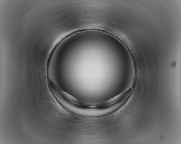 X0000091361184200708171517
