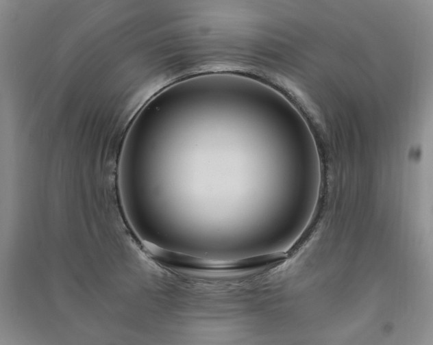 X0000091361185200708171517