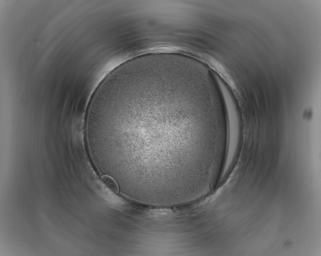 X0000091361186200708171517