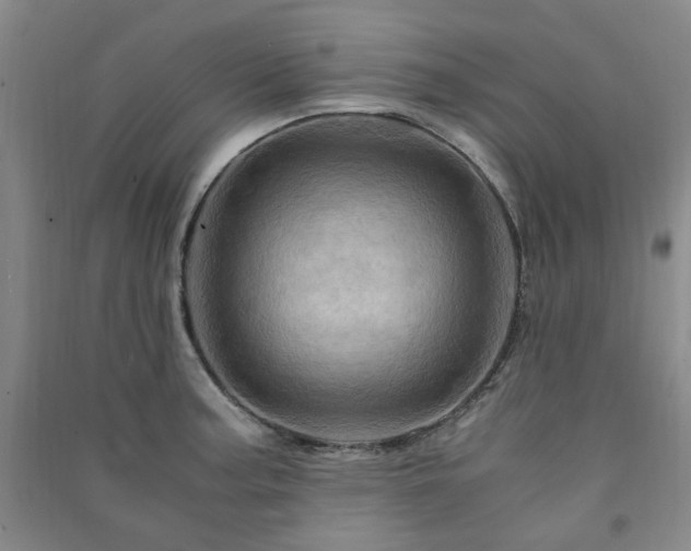 X0000091361187200708171517