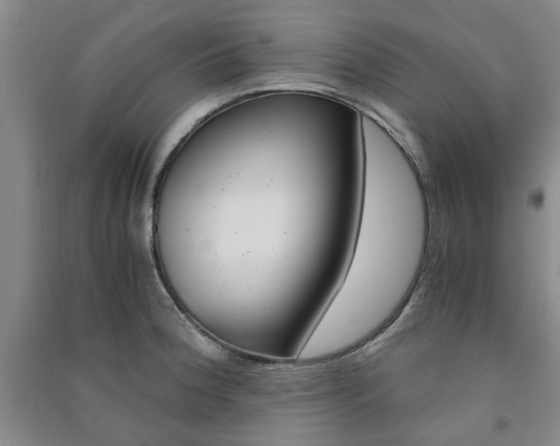 X0000091361188200708171517