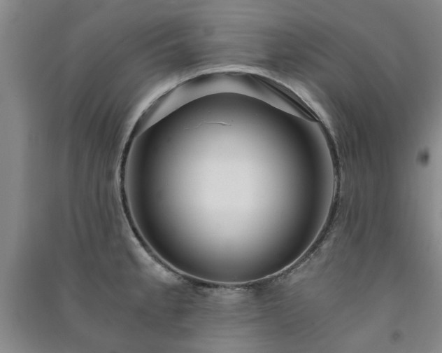X0000091361189200708171517