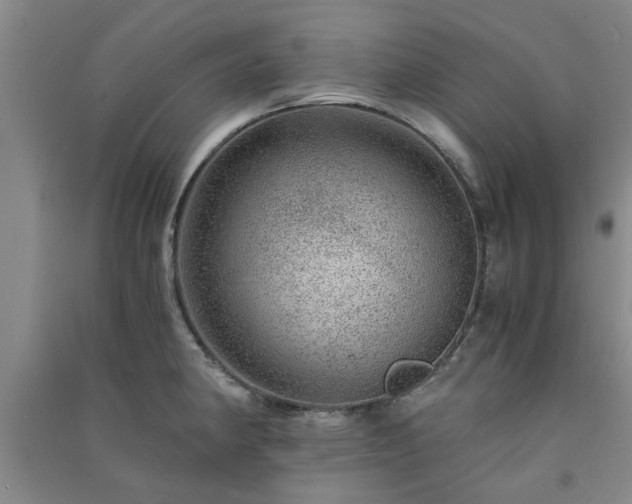 X0000091361190200708171517