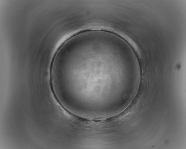 X0000091361191200708171517
