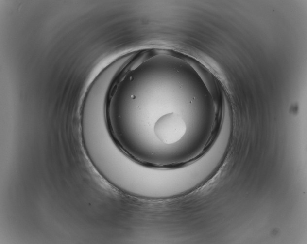 X0000091361192200708171517