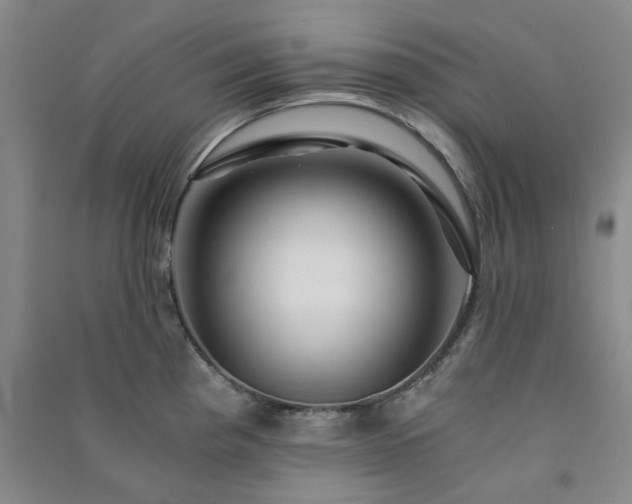 X0000091361193200708171517
