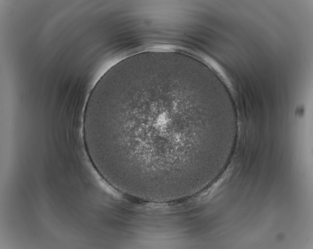X0000091361194200708171517
