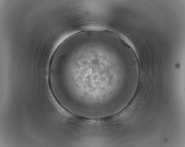 X0000091361195200708171517