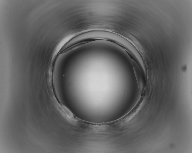X0000091361196200708171517
