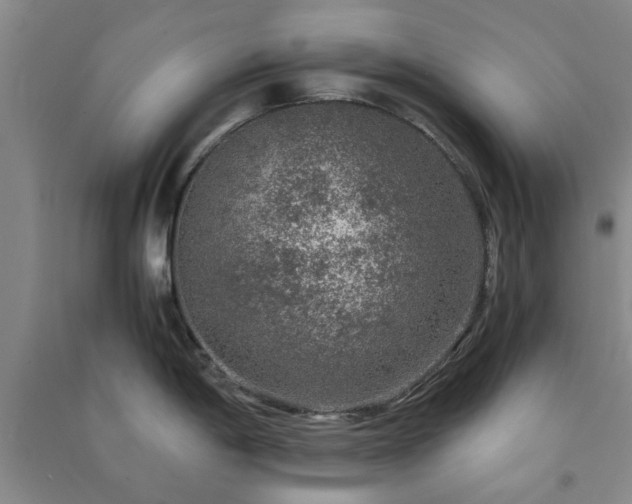 X0000091361198200708171517