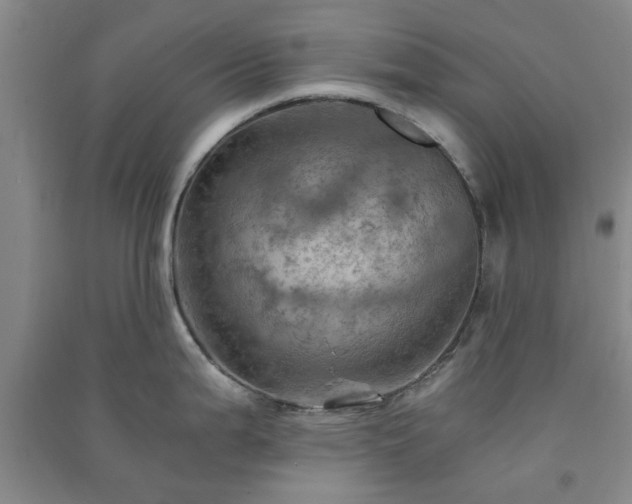 X0000091361199200708171517