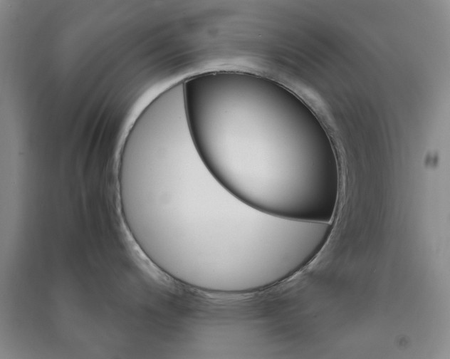 X0000091361200200708171517