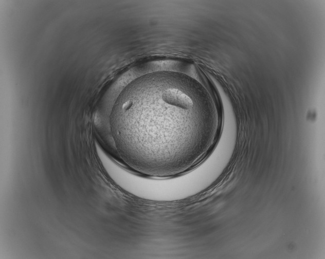 X0000091361202200708171517