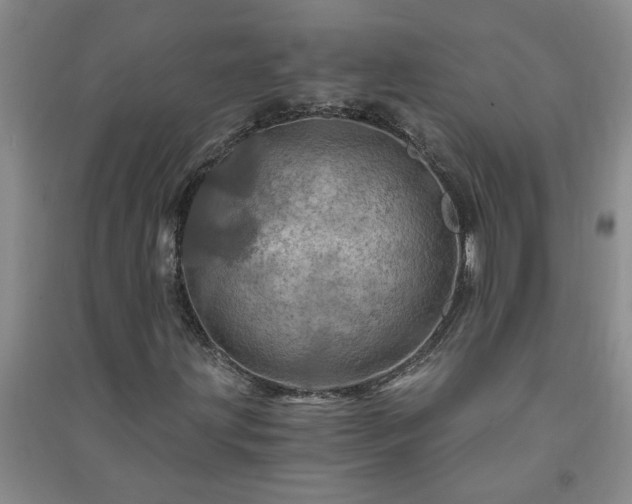 X0000091361203200708171517