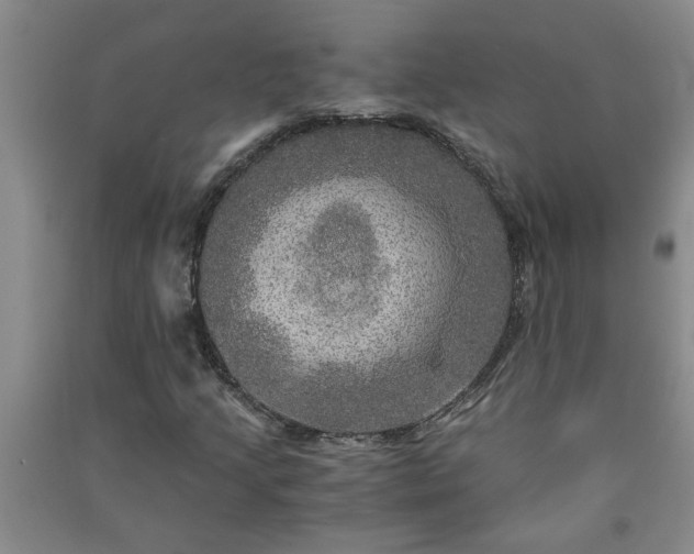 X0000091361205200708171517