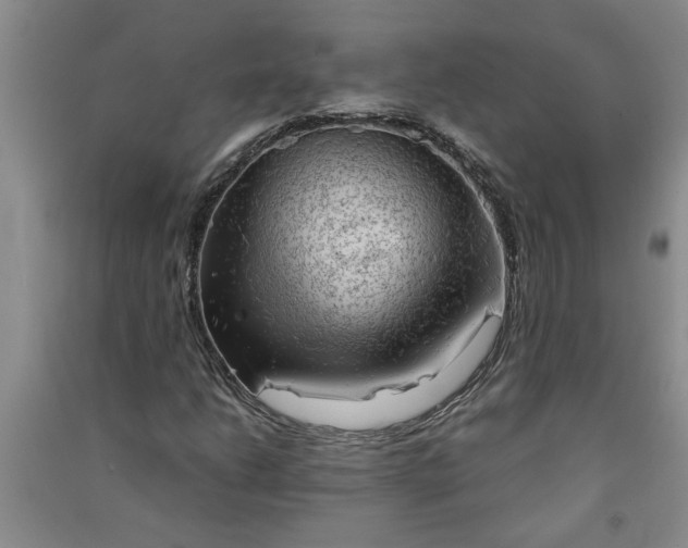 X0000091361206200708171517
