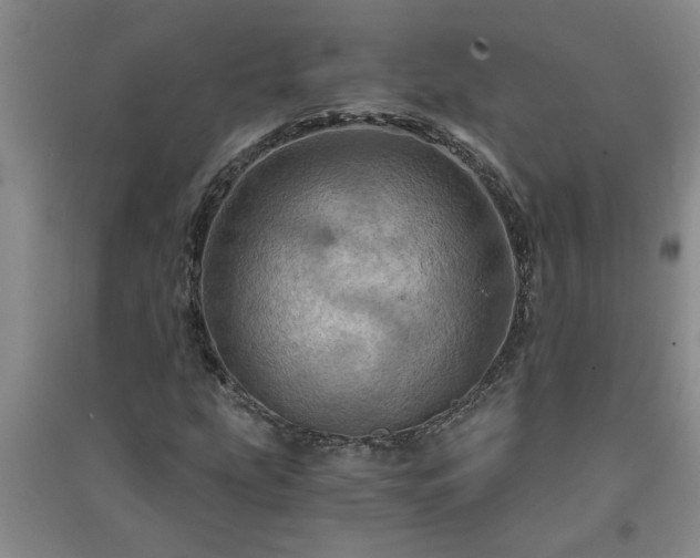 X0000091361207200708171517