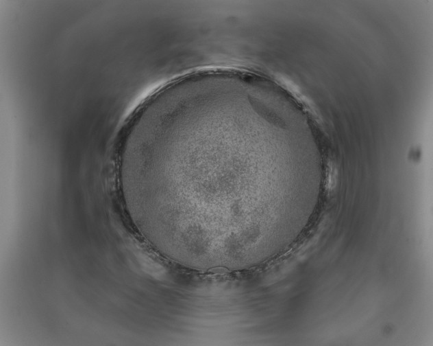 X0000091361208200708171517