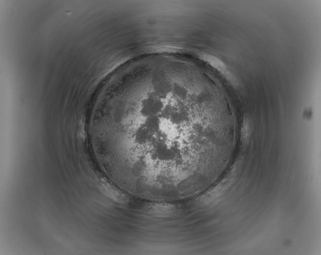 X0000091361209200708171517