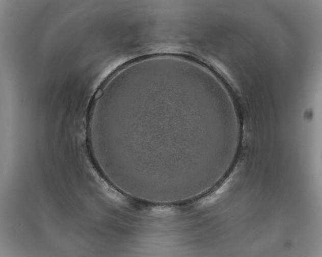 X0000091361212200708171517