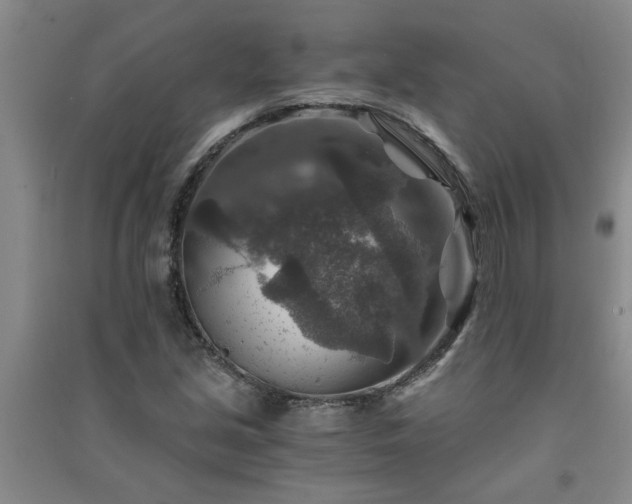 X0000091361213200708171517