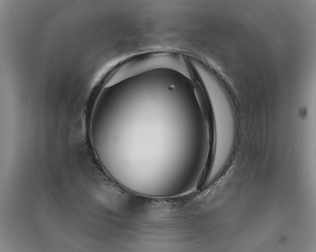 X0000091361214200708171517