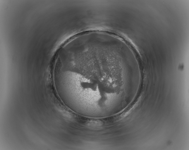 X0000091361215200708171517