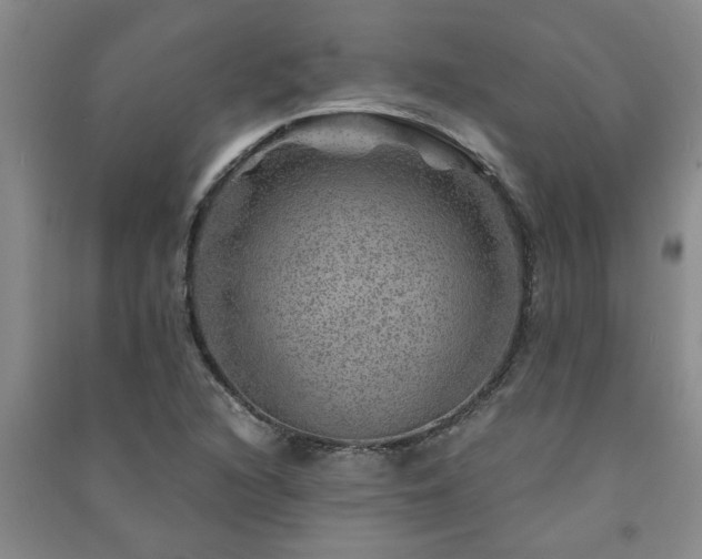 X0000091361216200708171517