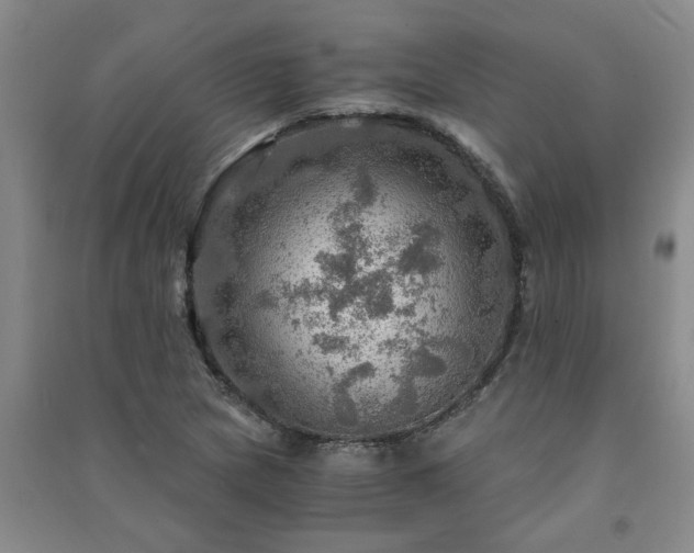X0000091361217200708171517