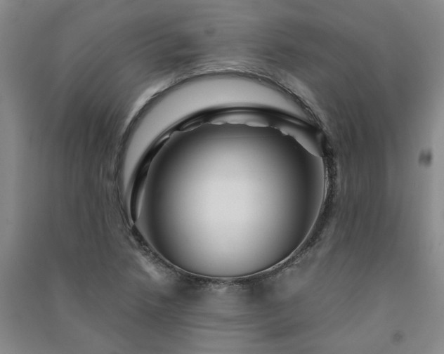 X0000091361218200708171517