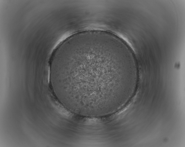 X0000091361219200708171517