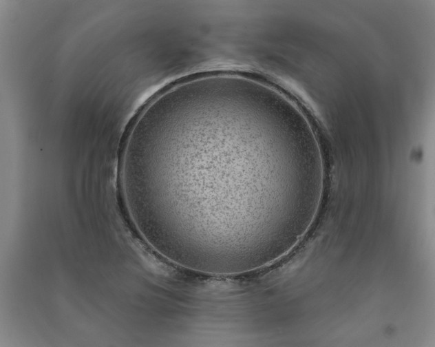 X0000091361220200708171517