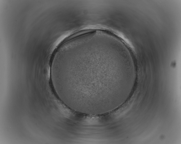 X0000091361221200708171517