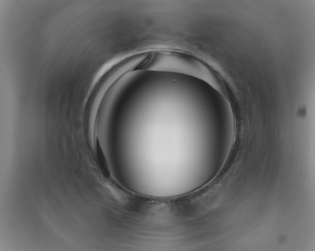X0000091361222200708171517